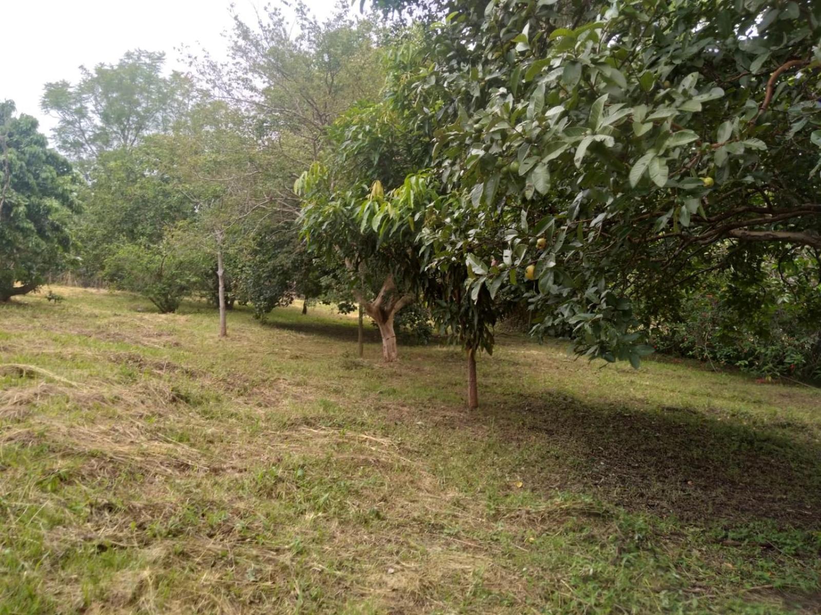 Casa Delicia Em Passa Quatro Ate 6 Pessoas Villa Bagian luar foto
