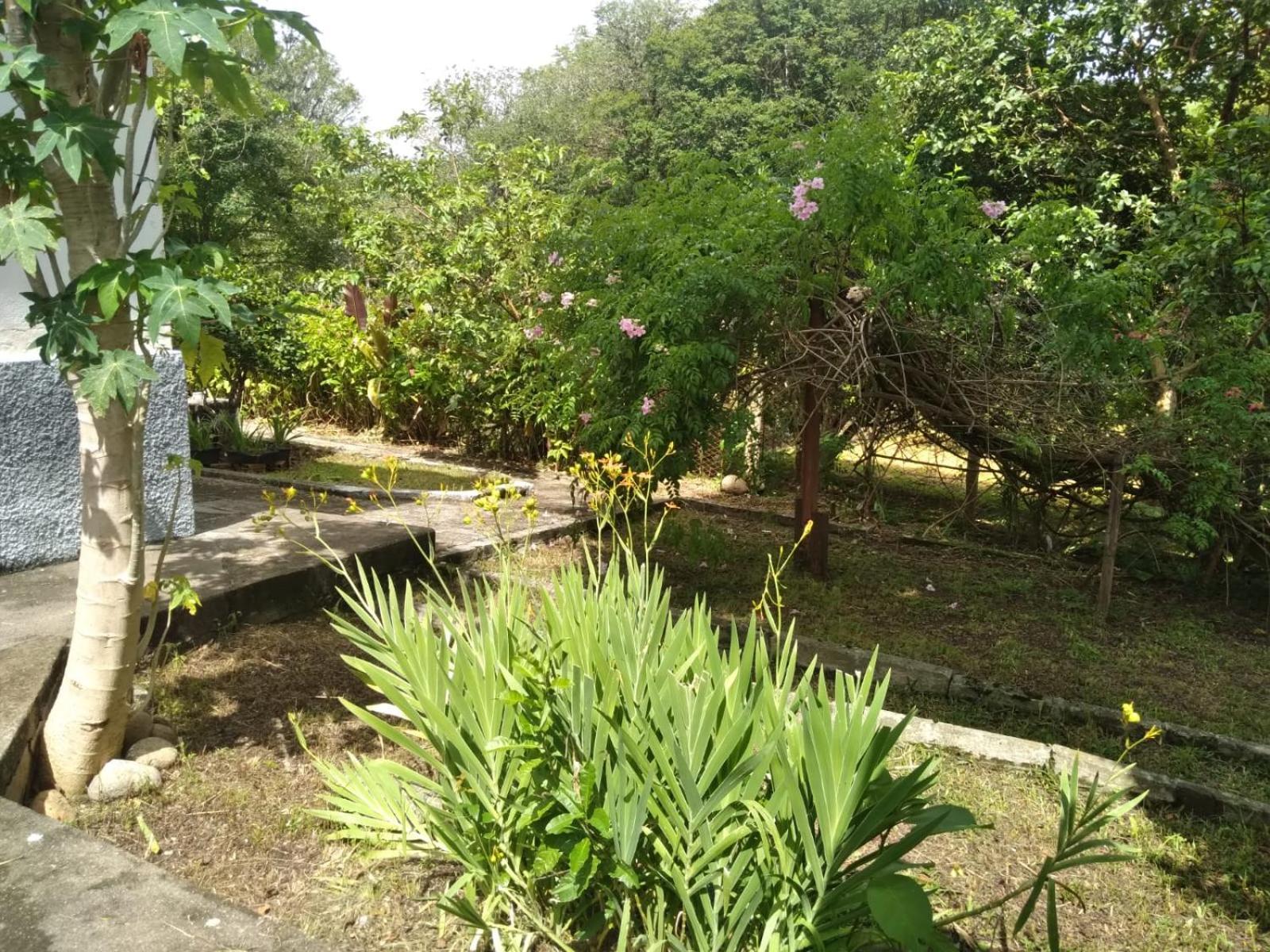 Casa Delicia Em Passa Quatro Ate 6 Pessoas Villa Bagian luar foto