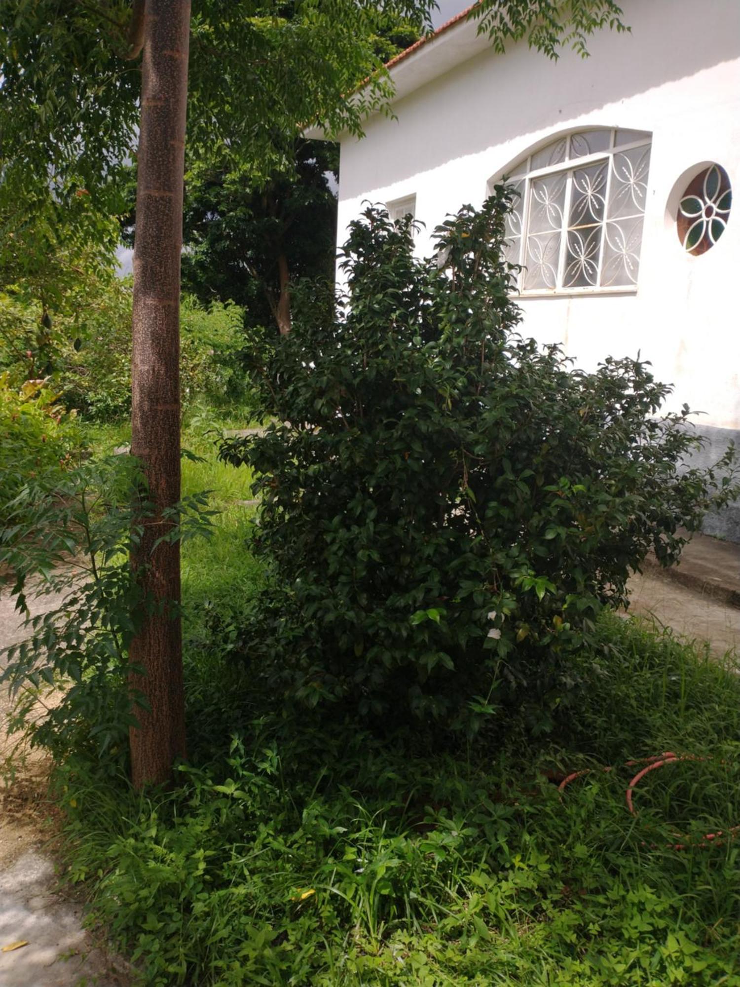 Casa Delicia Em Passa Quatro Ate 6 Pessoas Villa Bagian luar foto